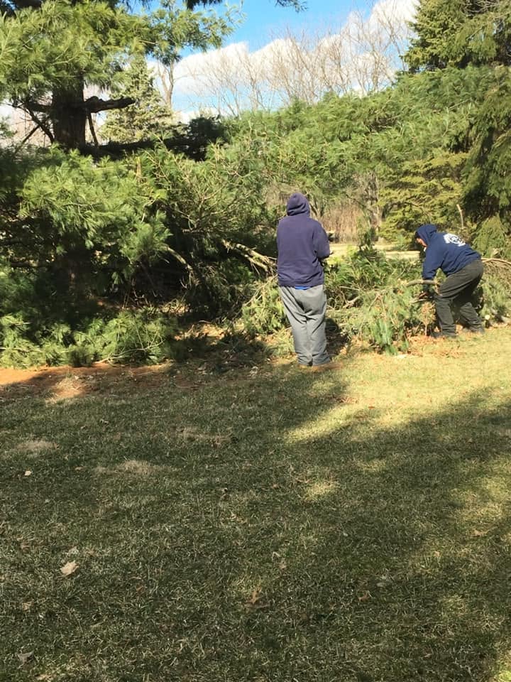 Ground crew clearing brush on-site