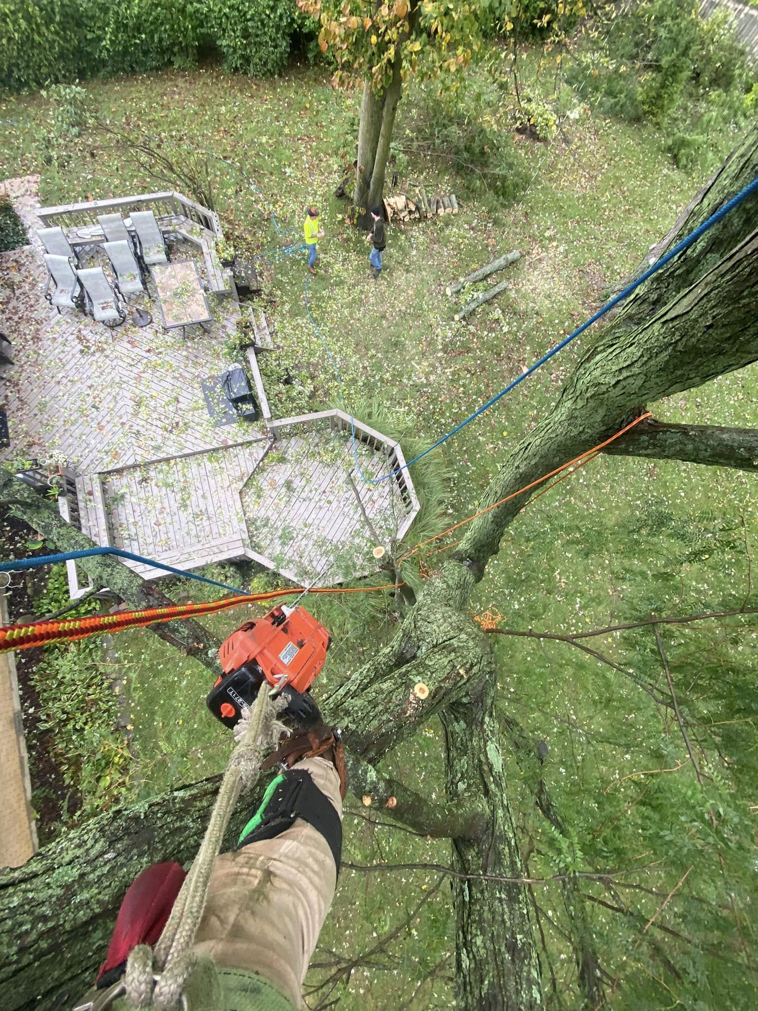 Aerial view of chainsaw work above a home